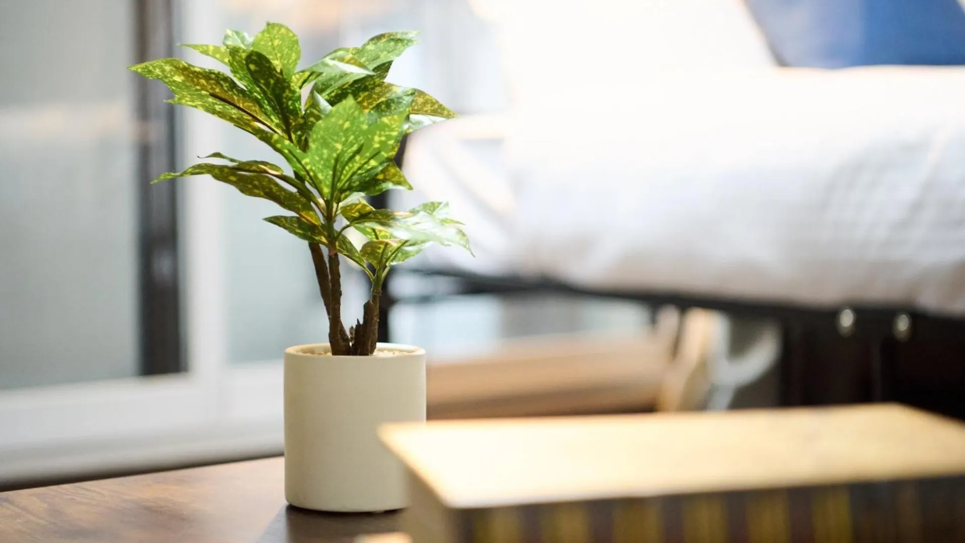 Apartment Residence Hotel Kabuto - Vacation Stay 63164V Sapporo